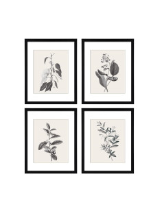 Set 4 Rame Decorative cu Fotografii, ArtByHannah, Sticla Acrilica, 28x35cm, Negre, Paspartu, Plante