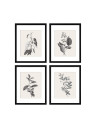 Set 4 Rame Decorative cu Fotografii, ArtByHannah, Sticla Acrilica, 28x35cm, Negre, Paspartu, Plante